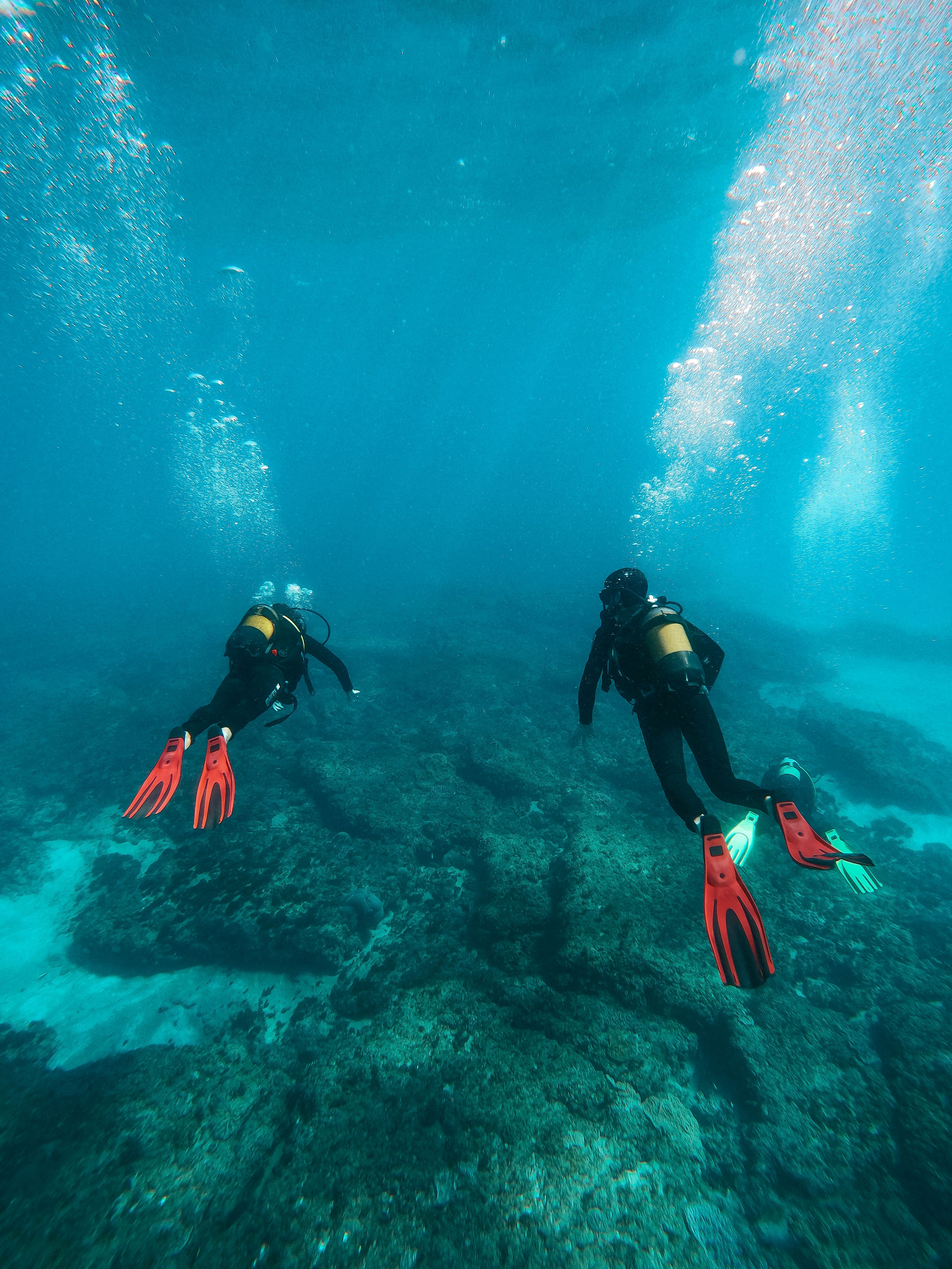 plongeurs sous l'eau